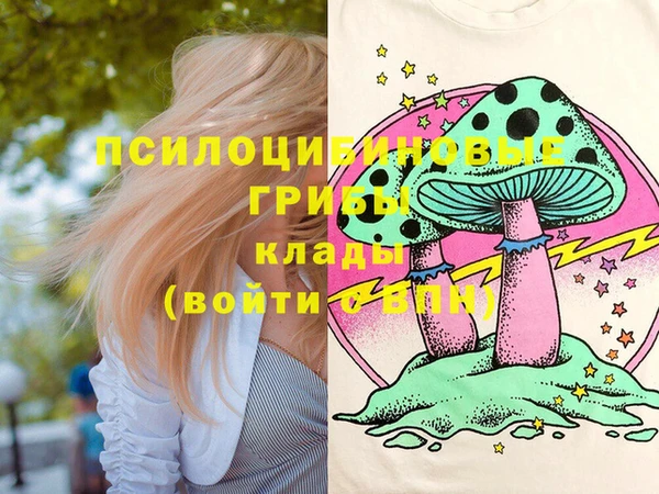 прущие грибы Алексин