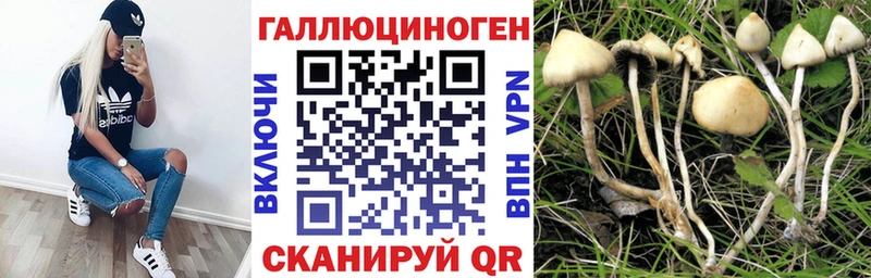 ОМГ ОМГ онион  цена   Суровикино  Псилоцибиновые грибы Psilocybe 